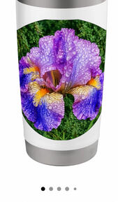 Iris FlowerLover Tumblr Iris flower lover Tumblr